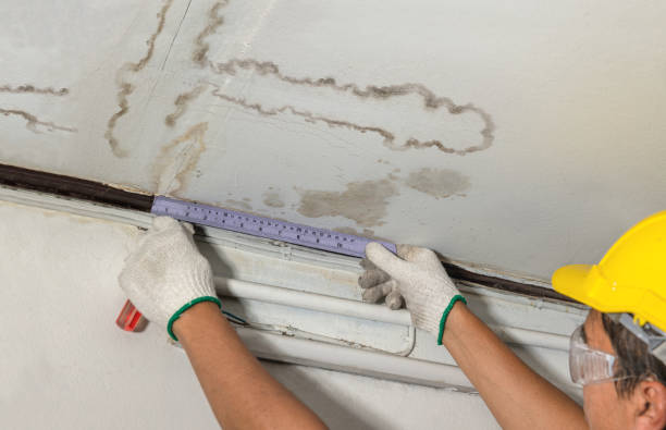 Reliable Burst Pipe Cleanup contractor in Osborn, MO by Water Damage Irwin